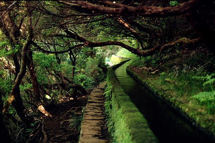 Levada das 25 Fontes Levada das 25 Fontes