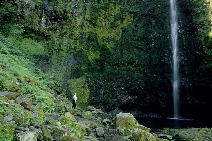 Caldeirão Verde Caldeirão Verde