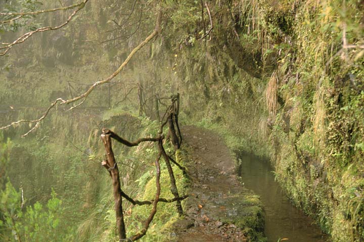 Levada Caldeirão Verde Levada Caldeirão Verde