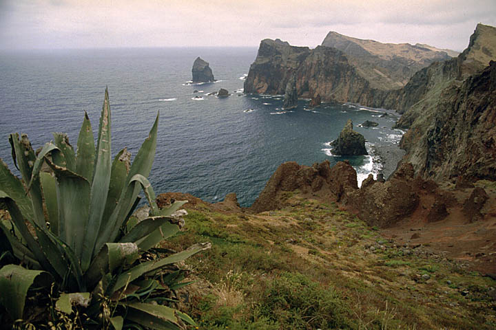 São Lourenço Peninsula São Lourenço Peninsula
