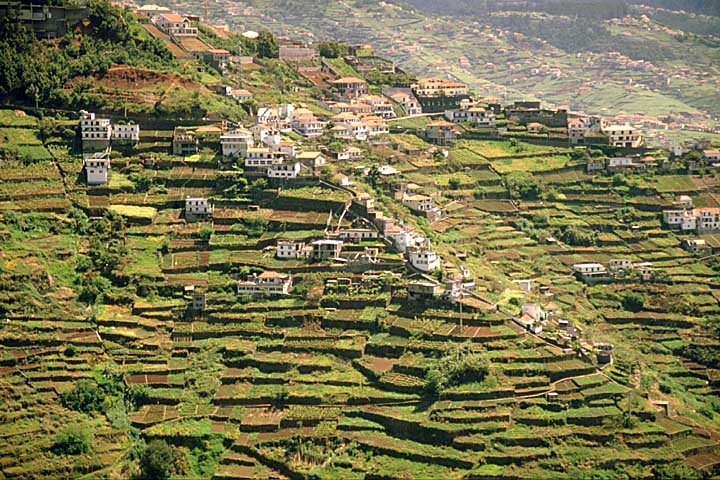Levada do Norte, Terrassenlandwirdschaft Levada do Norte, Terrassenlandwirdschaft