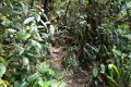 Wanderweg zum Cerro Gaital