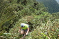 Es geht steil hinauf zum Cerro Gaital