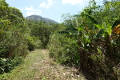 Im Hintergrung der Cerro Gaital