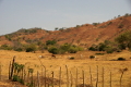 Landwirtschaft