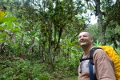 Im Regenwald