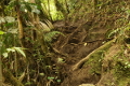 Wanderweg