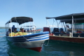 Im Hafen von Bocas del Toro