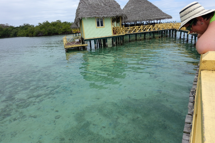 Auf dem Weg zum Nachmittagscocktail