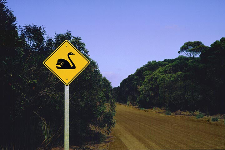 Verkehrsschild Schwan Verkehrsschild Schwan