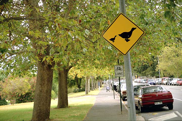 Verkehrsschild Gänse Verkehrsschild Gänse