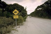 Verkehrsschild Echidna