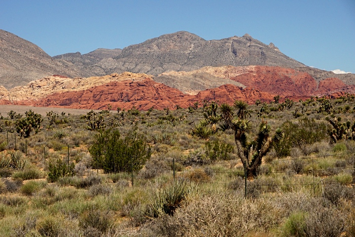 Death Valley