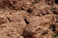 Red Rock Canyon