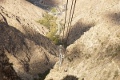 Palm Springs Aerial Tramway