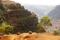 Waimea Canyon