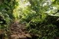 Kalalau Trail