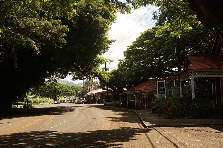 Koloa