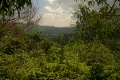 Am Maunawili Trail