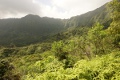 Am Maunawili Trail