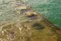 USS Arizona Wrack